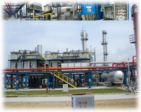 20120513013737 (1).jpg